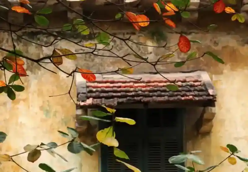 Local guide leading a walking tour through a hidden Old Quarter alley